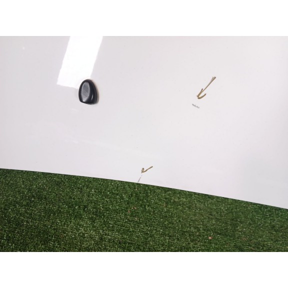 Recambio de capot para citroën c3 collection referencia OEM IAM   