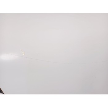 Recambio de puerta trasera izquierda para nissan qashqai i (j10, nj10) 2.0 dci referencia OEM IAM H2101EY1MA  