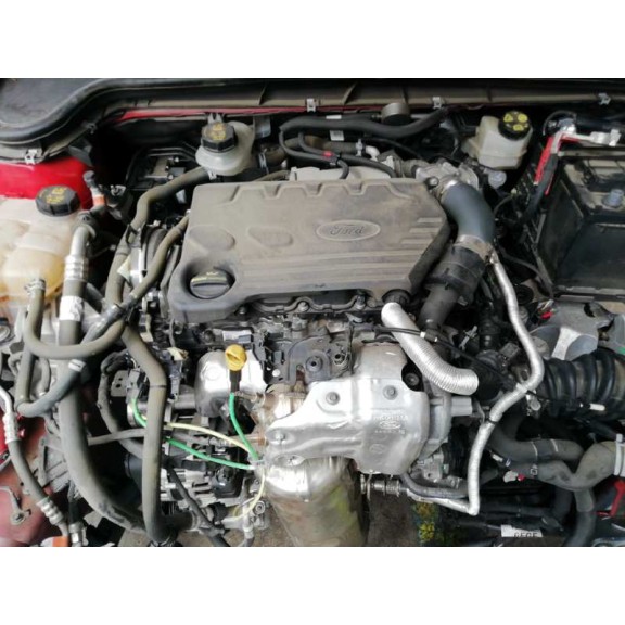 ford focus del año 2020