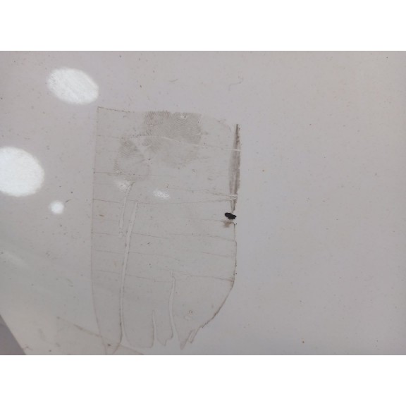 Recambio de porton trasero para peugeot 308 business line 130 referencia OEM IAM 1610669880 BLANCO 