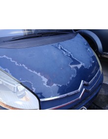 Recambio de capot para citroën c4 picasso i monospace (ud_) 2.0 hdi 138 referencia OEM IAM   