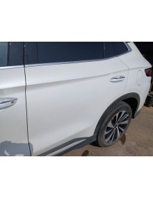 Recambio de puerta trasera izquierda para byd seal seal u plug-in hybrid referencia OEM IAM    2
