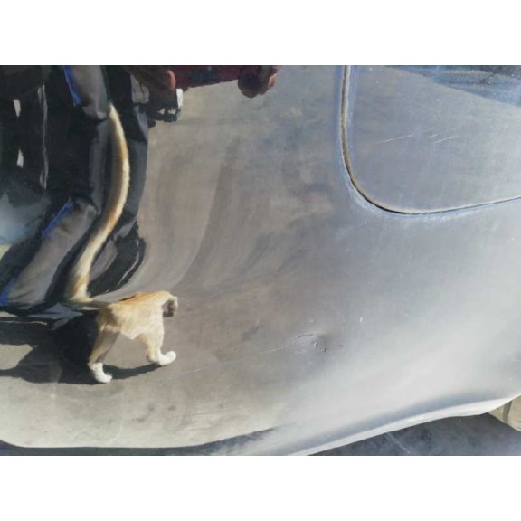 audi a4 avant (8e) del año 2005