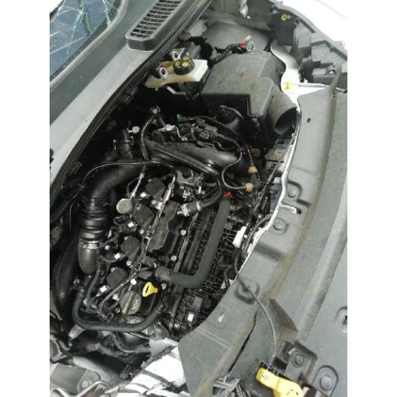 ford kuga (cbs) del año 2019