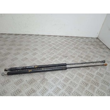 AMORTIGUADORES MALETERO / PORTON 