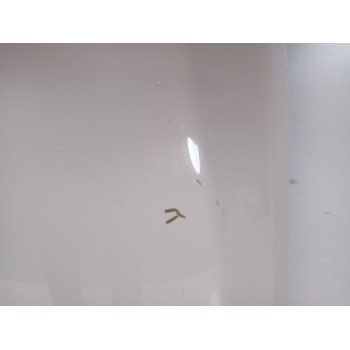 Recambio de capot para land rover range rover sport i (l320) 3.0 d 4x4 referencia OEM IAM BKA790050  