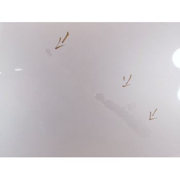 Recambio de capot para bmw serie 5 touring (e61) 525d referencia OEM IAM   