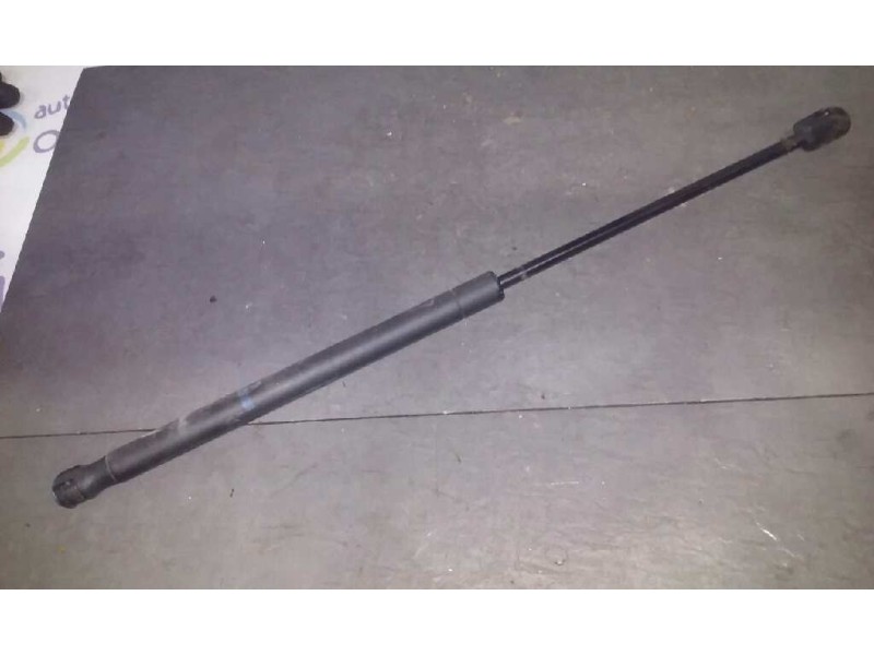 Recambio de amortiguadores capo para citroën c2 sx referencia OEM IAM  48 CM 380N