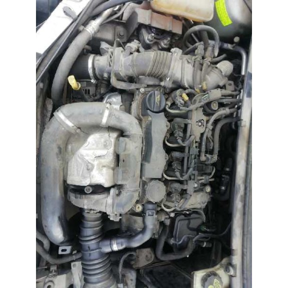 ford focus berlina (cap) del año 2004