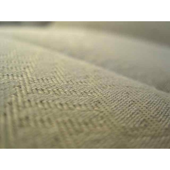 jaguar x-type del año 2006