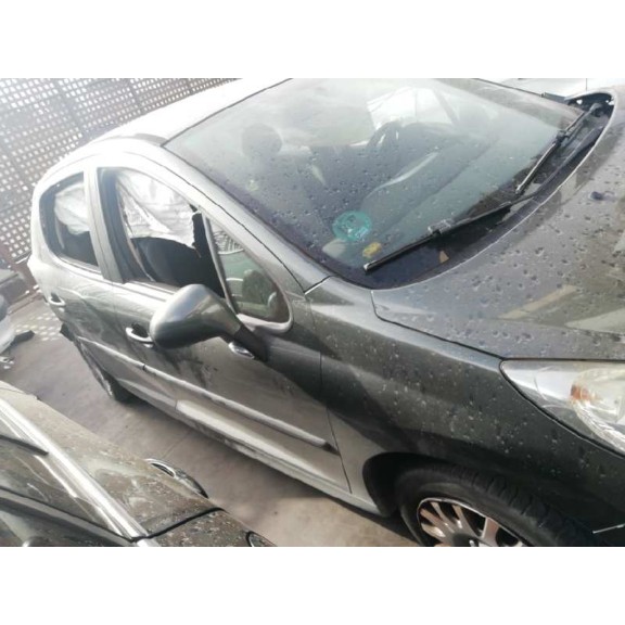 peugeot 207 del año 2008