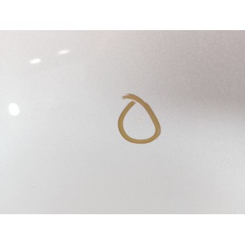 Recambio de capot para bmw serie 5 touring (e61) 525d referencia OEM IAM   