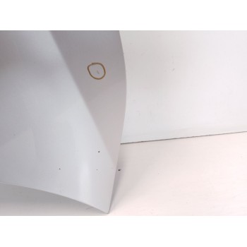 Recambio de capot para bmw serie 5 touring (e61) 525d referencia OEM IAM   