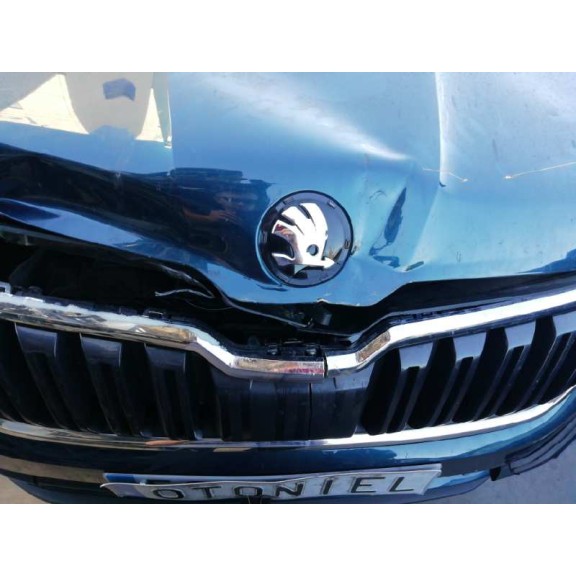 skoda kodiaq del año 2019