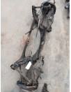 Recambio de puente trasero para ssangyong rodius i 2.7 xdi referencia OEM IAM 1513500008  