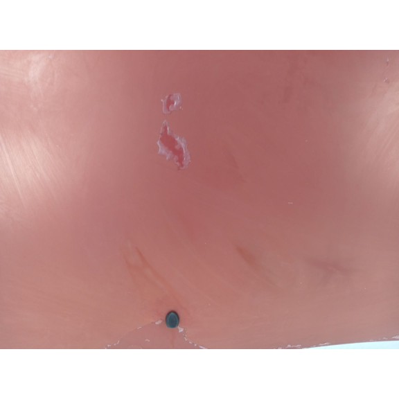 Recambio de capot para peugeot 308 i (4a_, 4c_) 1.6 hdi referencia OEM IAM   