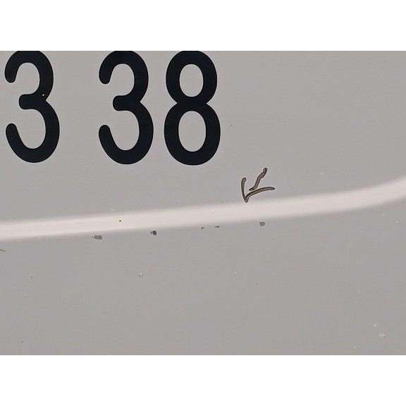 Recambio de puerta trasera derecha para nissan primastar furgoneta (x83) 2.0 dci 115 referencia OEM IAM   