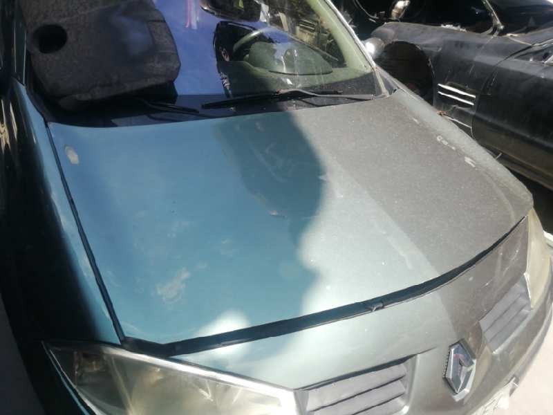 Recambio de capot para renault megane ii berlina 5p 1.9 dci diesel referencia OEM IAM   