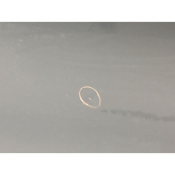 Recambio de puerta trasera izquierda para dacia lodgy (js_) 1.2 tce (jsay, jsm0) referencia OEM IAM   