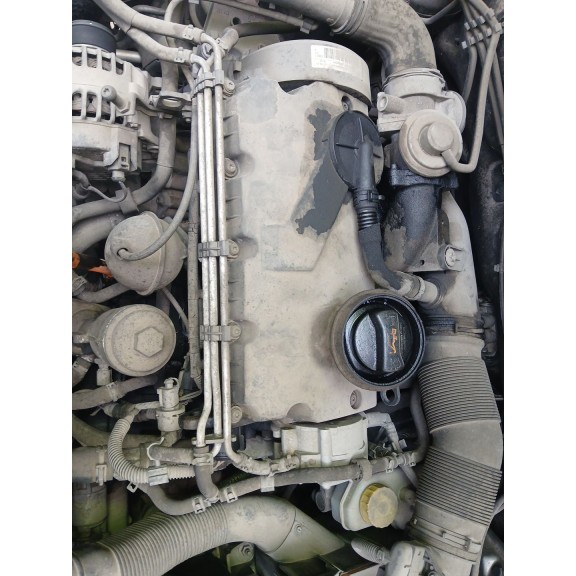 Recambio de motor completo para seat ibiza iii (6l1) 1.9 tdi referencia OEM IAM AXR B 