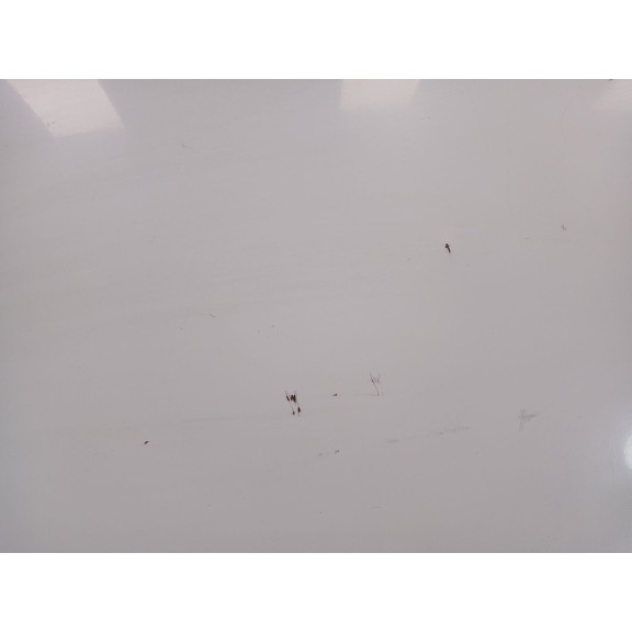 Recambio de puerta trasera izquierda para volkswagen crafter 30-50 furgoneta (2e_) 2.5 tdi referencia OEM IAM   