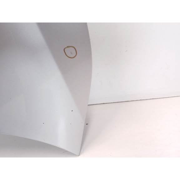 Recambio de capot para bmw serie 5 touring (e61) 525d referencia OEM IAM   