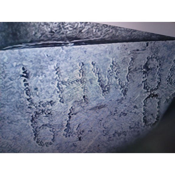 Recambio de caja cambios para seat leon (1p1) 1.6 tdi referencia OEM IAM LHW B 