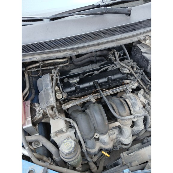 ford focus berlina (cap) del año 2004