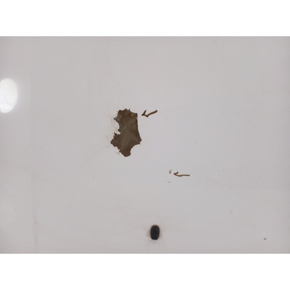 Recambio de capot para ford transit connect (tc7) 1.8 tdci cat referencia OEM IAM  2 SERIE 