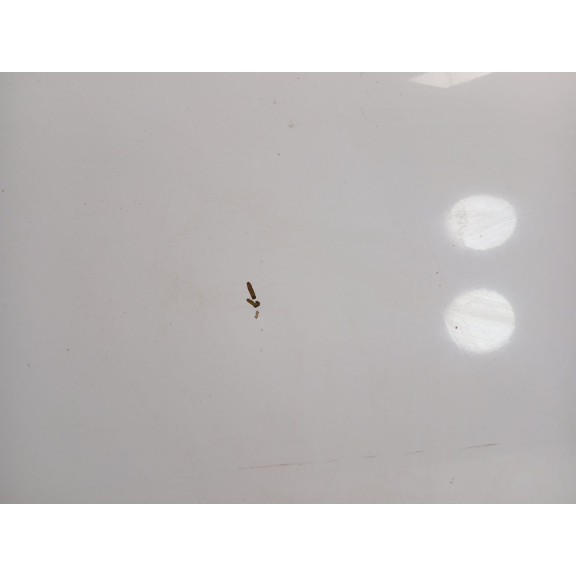 Recambio de capot para ford transit connect (tc7) 1.8 tdci cat referencia OEM IAM  2 SERIE 