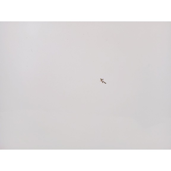 Recambio de capot para hyundai i40 i cw (vf) 1.7 crdi referencia OEM IAM 664003Z000  66400-3Z000