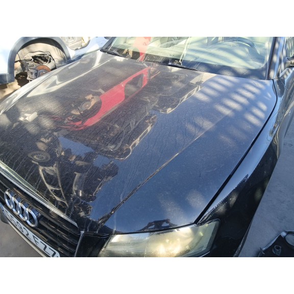 Recambio de capot para audi a5 (8t3) 2.7 tdi referencia OEM IAM   
