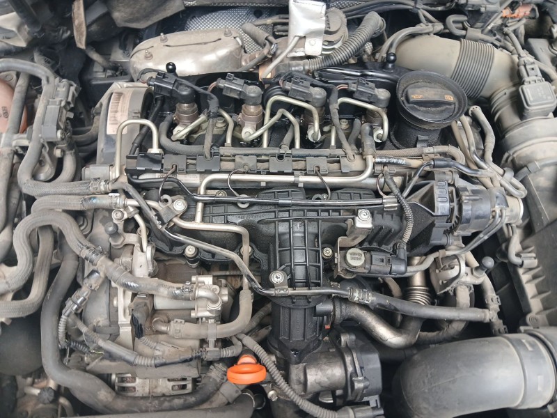 Recambio de despiece motor para volkswagen golf vi (5k1) 1.6 tdi referencia OEM IAM CAY  