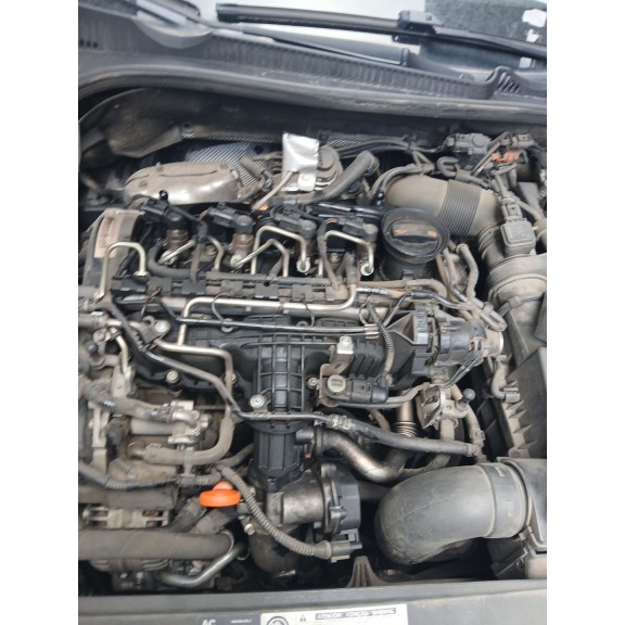 Recambio de despiece motor para volkswagen golf vi (5k1) 1.6 tdi referencia OEM IAM CAY  