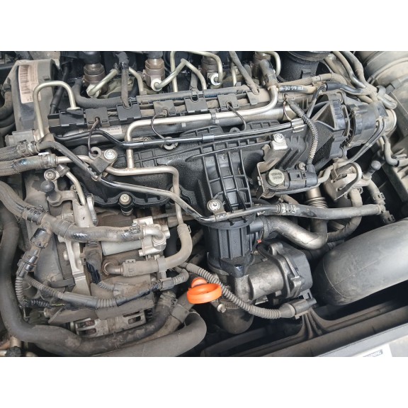 Recambio de despiece motor para volkswagen golf vi (5k1) 1.6 tdi referencia OEM IAM CAY  