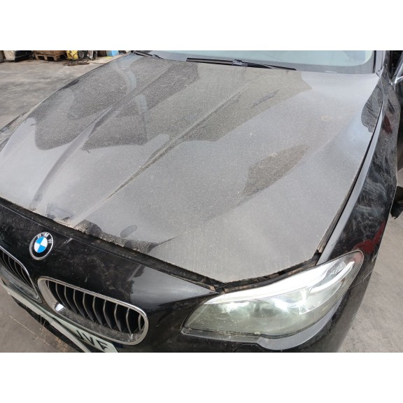 Recambio de capot para bmw 5 (f10) 520 d referencia OEM IAM   