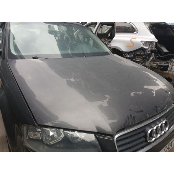 Recambio de capot para audi a3 (8p1) 1.6 referencia OEM IAM   