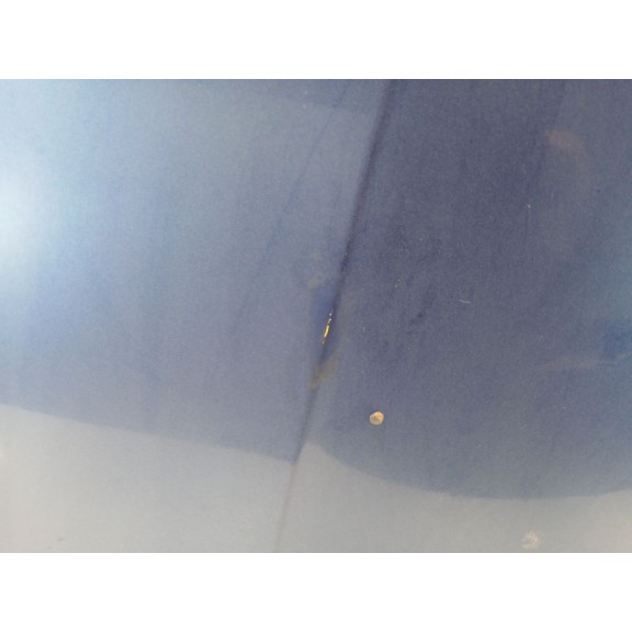 Recambio de capot para bmw 3 touring (e91) 325 d referencia OEM IAM 41617153940  