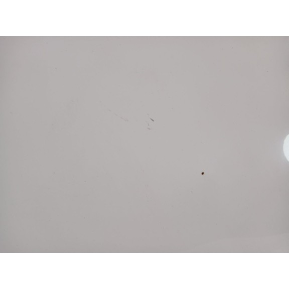 Recambio de capot para hyundai tucson (tl, tle) 1.6 t-gdi referencia OEM IAM 66400D3000  