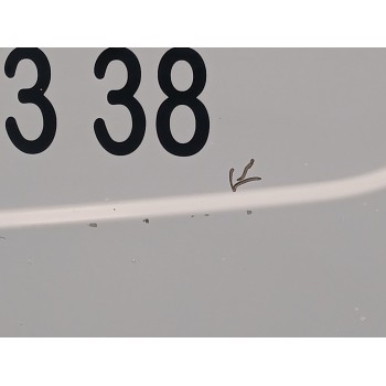 Recambio de puerta trasera derecha para nissan primastar furgoneta (x83) 2.0 dci 115 referencia OEM IAM   