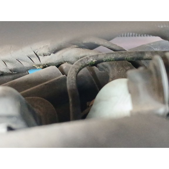 Recambio de motor completo para citroën c2 (jm_) 1.4 hdi referencia OEM IAM 8HX  