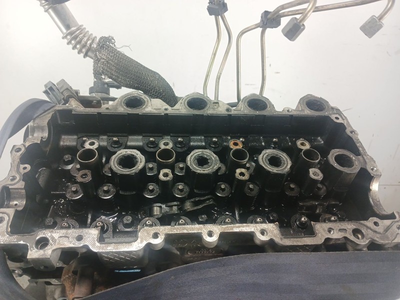 Recambio de culata para ford focus berlina (cap) 1.6 tdci cat referencia OEM IAM 9655911480  