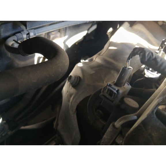 Recambio de filtro de particulas para toyota verso (_r2_) 2.0 d-4d (aur20_) referencia OEM IAM   