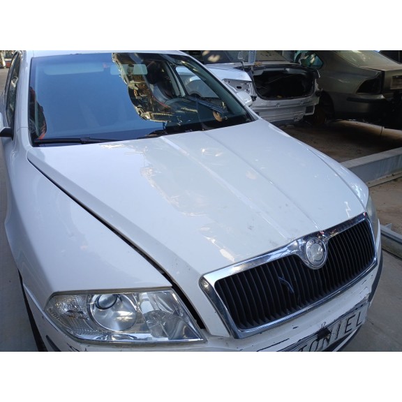 Recambio de capot para skoda octavia ii (1z3) 1.9 tdi referencia OEM IAM   