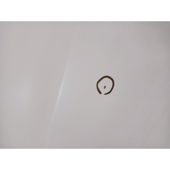 Recambio de capot para seat ibiza iii (6l1) 1.4 16v referencia OEM IAM   