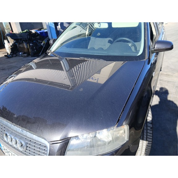 Recambio de capot para audi a3 (8p1) 1.9 tdi referencia OEM IAM   