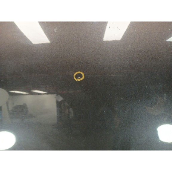 Recambio de capot para volkswagen passat b6 (3c2) 2.0 tdi 16v referencia OEM IAM 3C0823031C  