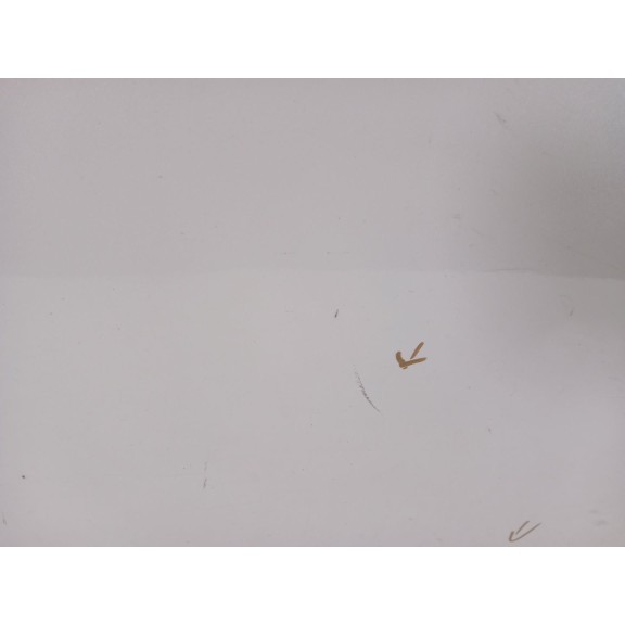 Recambio de puerta trasera derecha para infiniti qx70 3.7 awd referencia OEM IAM   