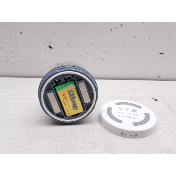 Recambio de luz interior para peugeot 1007 1.4 referencia OEM IAM s294002  