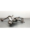 Recambio de columna direccion para nissan x-trail (t31) 2.0 dci turbodiesel cat referencia OEM IAM 48810JG40B  